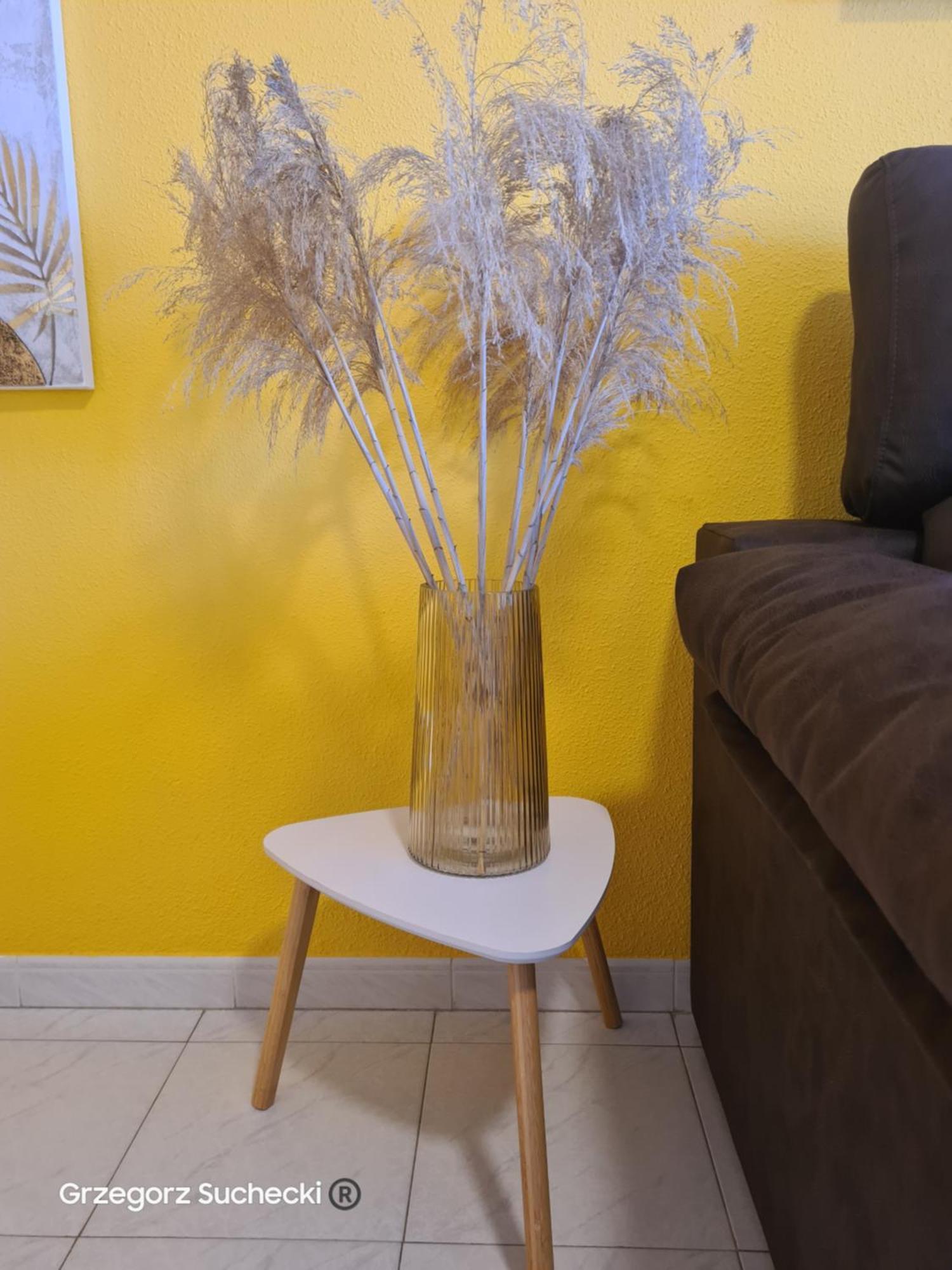Apartament Apartamento Parquemar La Mata  Zewnętrze zdjęcie